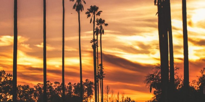 1080x2280 300 ᐈ Sunset Wallpapers: Top Free 4k Sunset Wallpaper Download [ HD ]