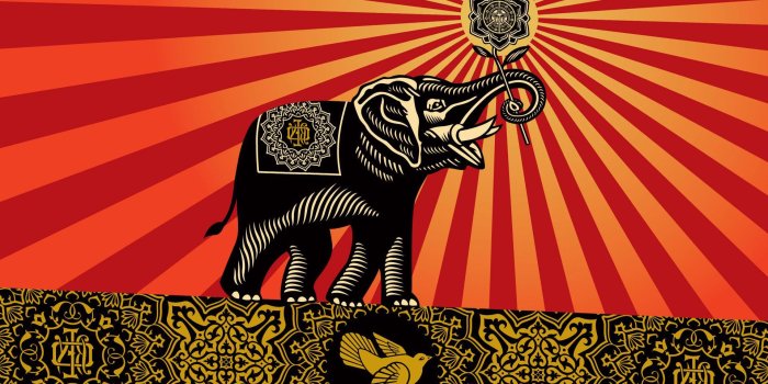 1920x1116 Obey Wallpaper Hd - 1920x1116 - Download HD Wallpaper - WallpaperTip