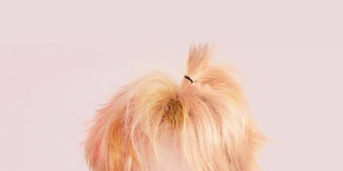 720x1280 Kim TaeHyung wallpaper by BTSxARMYFamily - 9b - Free on ZEDGE™