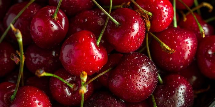 1920x1200 Cherries Wallpapers - Top Free Cherries Backgrounds - WallpaperAccess