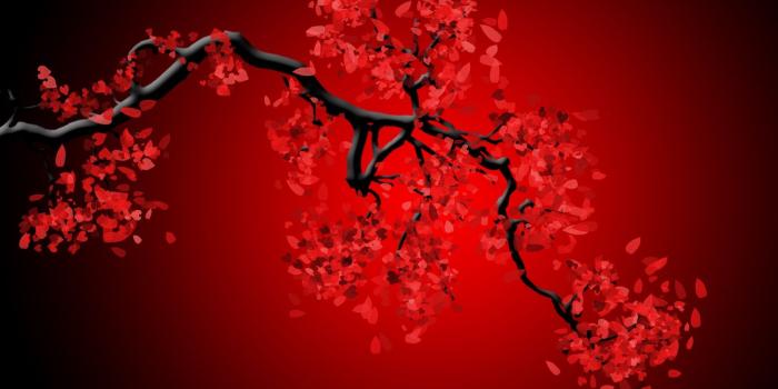 1600x900 Free download cherry blossom Red and Black Wallpapers [1600x1200] for your  Desktop, Mobile & Tablet | Explore 42+ Cherry Wallpaper | Cherry Blossom  Wallpaper for Walls, Washington DC Cherry Blossom Wallpaper, Vintage Cherry  Wallpaper