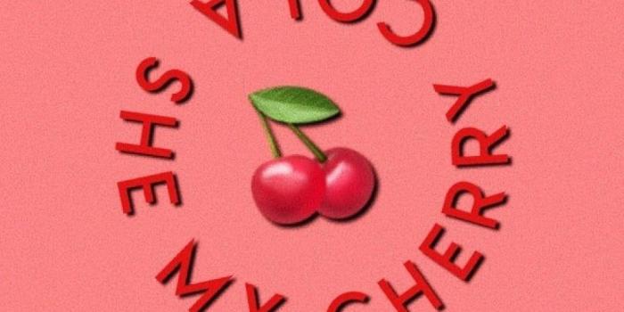 1080x1920 ✅[35+] Cherry Aesthetic - Android, iPhone, Desktop HD Backgrounds /  Wallpapers (1080p, 4k) (1080x1920) (2020)