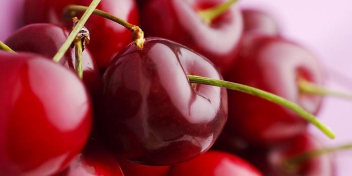 1920x1200 Cherry Wallpapers #W5R6M5X - Picserio.com