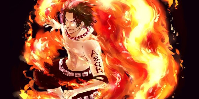 1366x768 1366x768 One Piece Portgas D Ace 1366x768 Resolution HD 4k Wallpapers,  Images, Backgrounds, Photos and Pictures