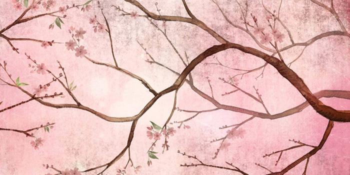 1980x1980 Pin Cherry Wallpaper by WallPepper | Designer Italian Wallpapers | IMAESTRI