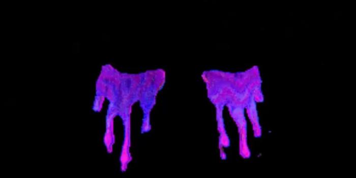 1082x1920 Euphoria Hbo Wallpapers posted by Michelle Anderson