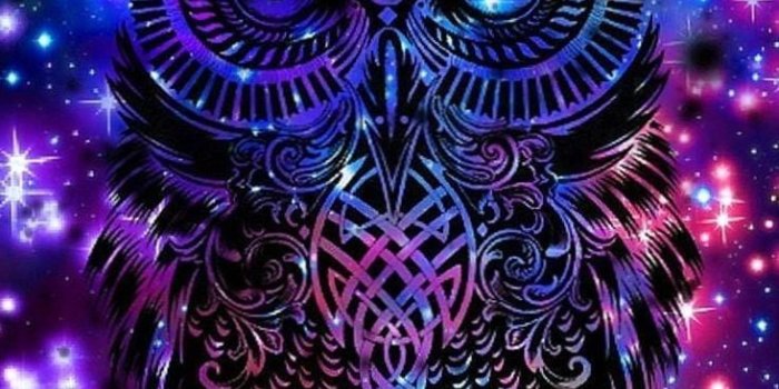 733x1305 Wolf Mandala Wallpapers - Wolf-Wallpapers.Pro