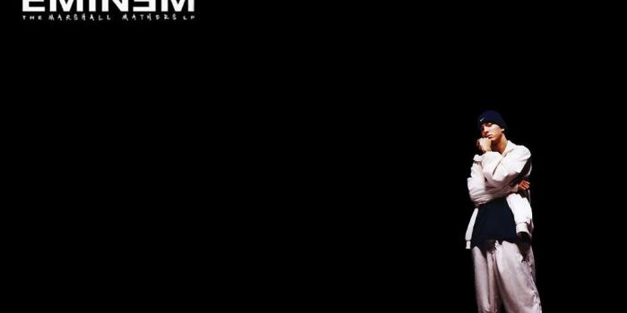 1024x768 Eminem Wallpapers <3 - TFW - The Friends whatever Wallpaper (7890371) -  Fanpop