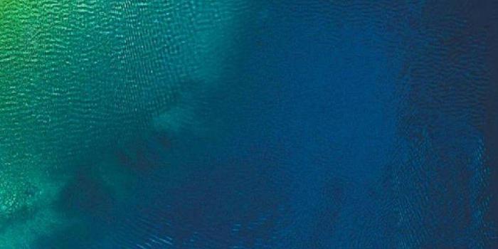 1200x2714 IOS 12 Wallpapers