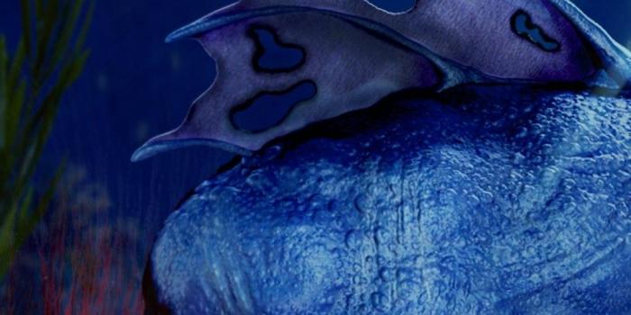 1080x1920 iPhone 12 Pro Wallpapers - Top Free iPhone 12 Pro Backgrounds -  WallpaperAccess