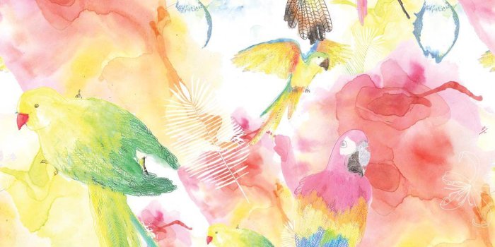 1100x1318 Watercolor Birds, The Ultimate Tropical Bird Wallpaper • Milton & King