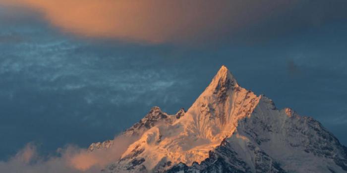 1176x2400 Wallpapers for iPhone 12, iPhone 12 Pro, and iPhone 12 Pro Max in 2020 |  Artistic wallpaper, Iphone wallpaper ios, Apple wallpaper full hd