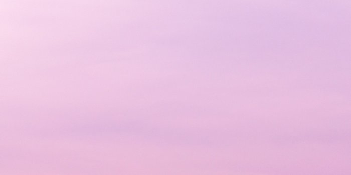 2160x3840 Lilac Wallpapers