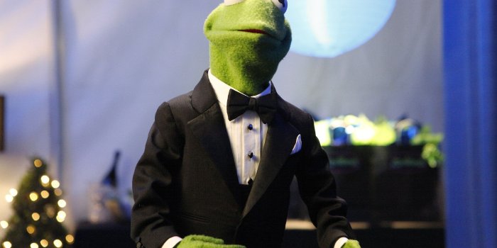 2500x1407 Kermit The Frog Was Made Out Of An Old Coat - LovelyTab