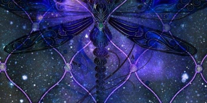 720x1280 Dragonfly wallpaper | Dragonfly wallpaper, Art wallpaper, Dragonfly art
