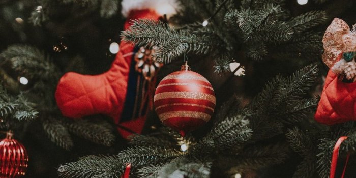 1000x1499 Christmas Wallpapers: Free HD Download [500+ HQ] | Unsplash