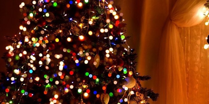 1080x1920 christmas time | Christmas tree wallpaper, Christmas wallpaper free, Christmas  wallpaper