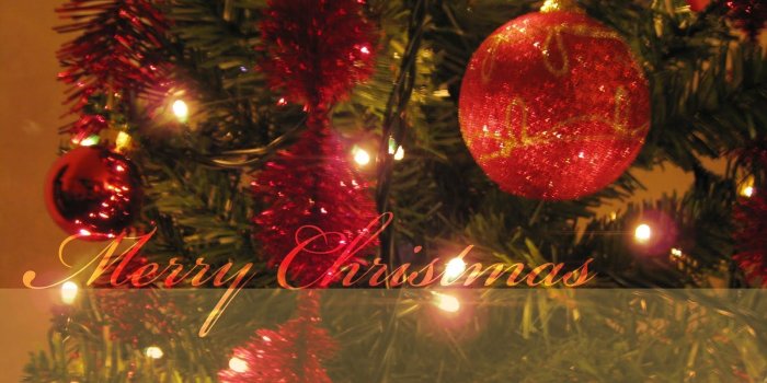 1600x1000 free christmas screensavers | christmas wallpapers free,christmas  wallpapers an… | Christmas tree wallpaper, Merry christmas wallpaper, Christmas  wallpaper free