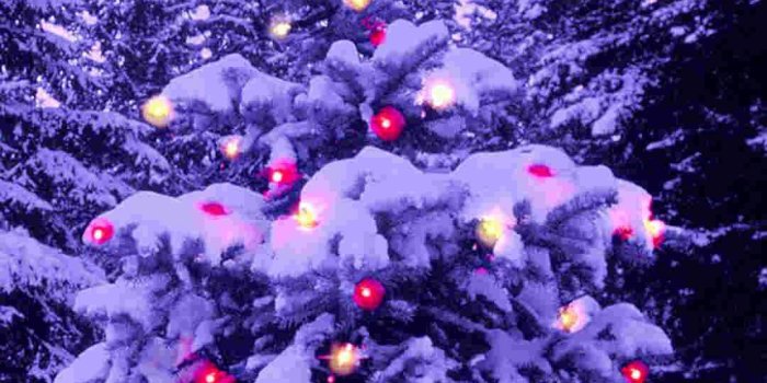 1080x1920 Christmas iPhone Wallpaper