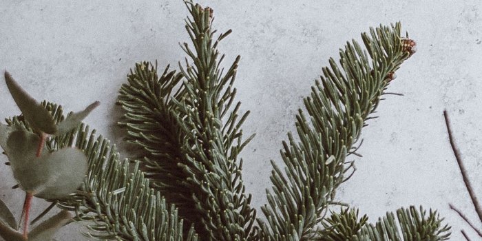 1242x2688 40 Stunning iPhone XS and XS Max Christmas Wallpapers