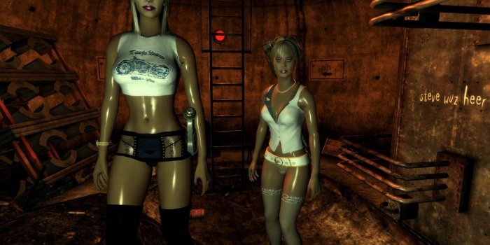 1332x850 Wallpaper sexy, Fallout, companions, Fallout new vegas, Ingame images for  desktop, section игры - download