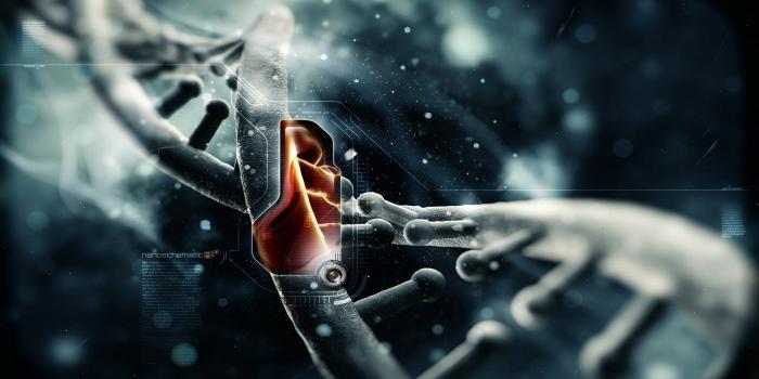 1920x1080 48+] Cool Tech Wallpapers on WallpaperSafari