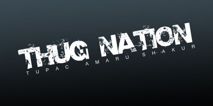 1024x768 Thug wallpapers - SF Wallpaper