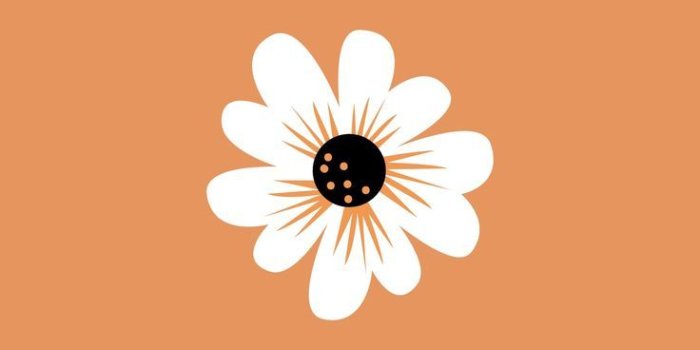 736x1174 pinterest↠ ajanellxo::…Click here to download pinterest↠ ajanellxo pinterest↠  ajanellxo Download cute wallpa… | Wallpaper wa, Wallpaper backgrounds, Cute  wallpapers