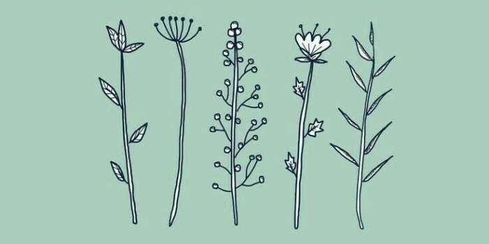 736x1308 ✰ P I N T E R E S T : @cassidy_shank✰ | Iphone wallpaper, Aesthetic  lockscreens, Aesthetic wallpapers