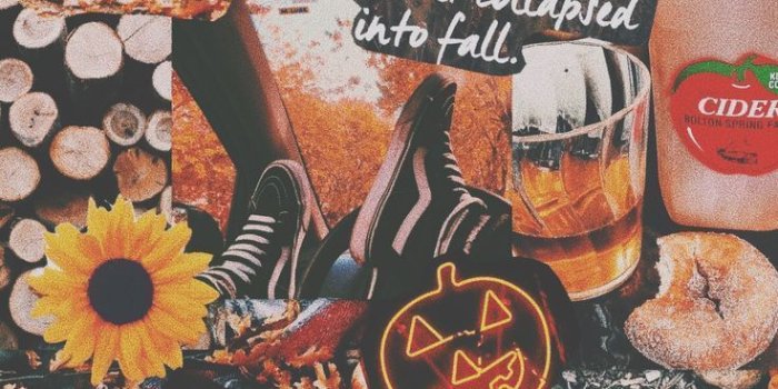 736x1104 Pinterest: rosiealtieri • Fall ästhetisch • - Herbstgq #ästhetisch #Fall  #fall decor #fall decorations… in 2020 | Iphone wallpaper fall, Cute fall  wallpaper, Fall wallpaper