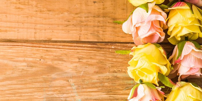 1280x851 Photos Roses flower Template greeting card Closeup