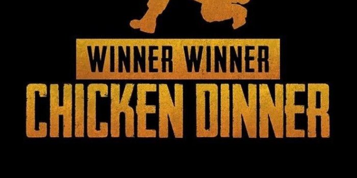 737x1311 PUBG Template Wallpapers