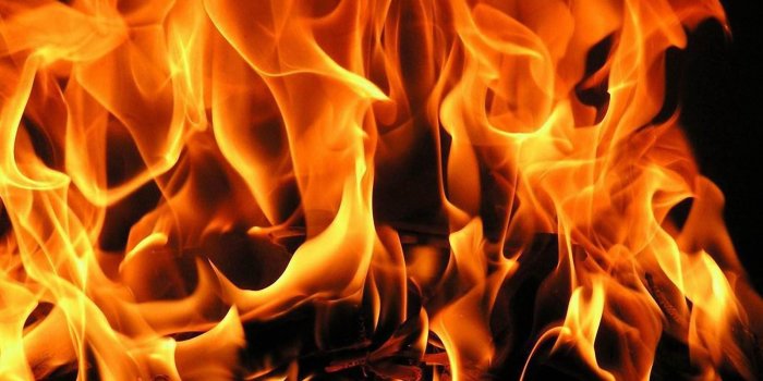 1600x1000 76+] Free Fire Wallpaper on WallpaperSafari