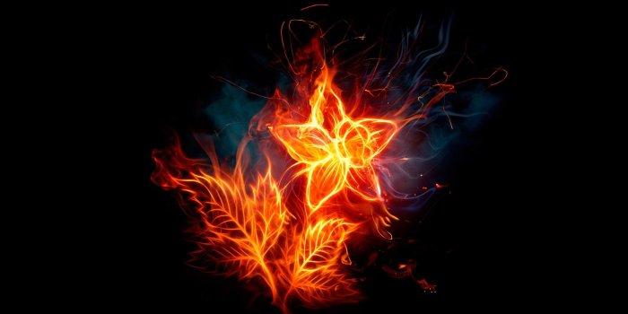 2560x1600 Fire Wallpapers 26 - [2560 x 1600]