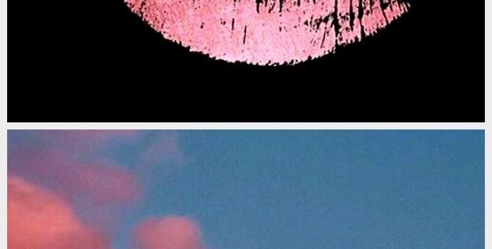 690x1330 Girly wallpaper, background girly wallpapers #wallpaperbackgrounds Girly  wallpaper, backgroun... in 2020 | Backgrounds girly, Wallpaper backgrounds,  Girly