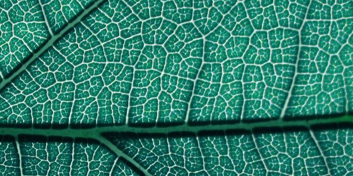 1125x2436 Download these beautiful texture wallpapers for iPhone, iPad, and Mac