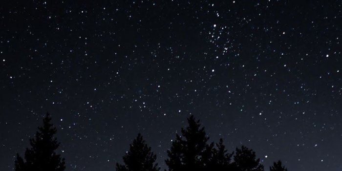 900x1600 starry sky, trees, night | Night sky wallpaper, Dark wallpaper, Night sky  photography