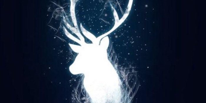 700x1145 Aesthetic Harry Potter Wallpapers