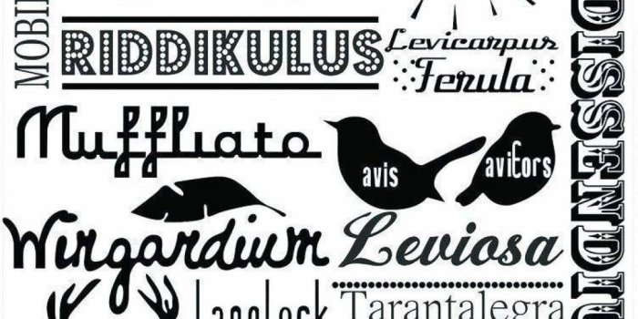 1142x1664 Harry Potter Wallpaper Alohomora