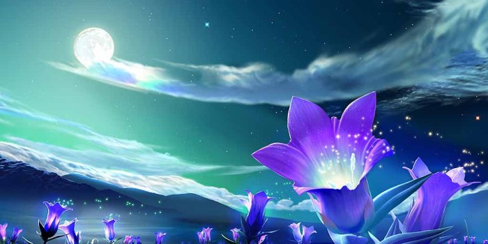 1024x768 Free download Night Sky Wallpaper HD wallpapers Flower Under Night Sky  Wallpaper [1024x768] for your Desktop, Mobile & Tablet | Explore 38+ HD Wallpaper  Night Sky | Night Sky Wallpaper for Computer,