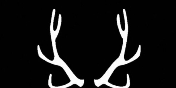 1080x1920 sweet creature — harry potter; by baelockscreens. like this post... | Harry  potter wallpaper phone, Harry potter wallpaper backgrounds, Harry potter  wallpaper