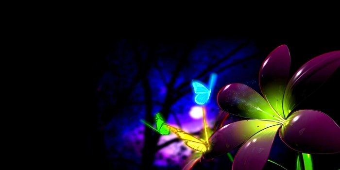 1920x1200 Wallpaper download night, flower, colorful, the moon, butterfly resolution  1920x1200 #9499