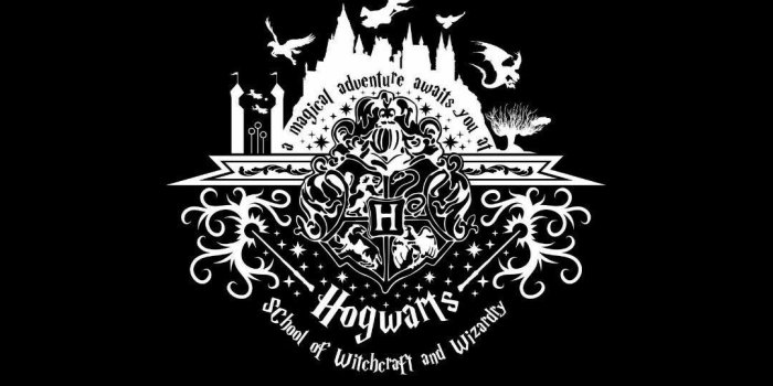 1080x1920 saowaluk beam on Harry Potter | Harry potter wallpaper, Harry potter  aesthetic, Harry potter background