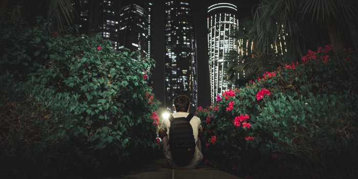 2048x1152 Download wallpaper 2048x1152 man, buildings, skyscrapers, bushes, flowers,  night ultrawide monitor hd background