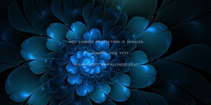 2560x1600 a blue flower grow night nature