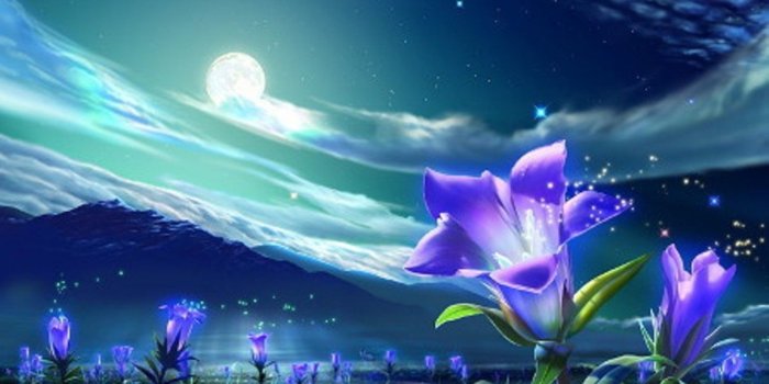 1440x900 Best 47+ Moonflower Wallpaper on HipWallpaper | Moonflower Wallpaper,