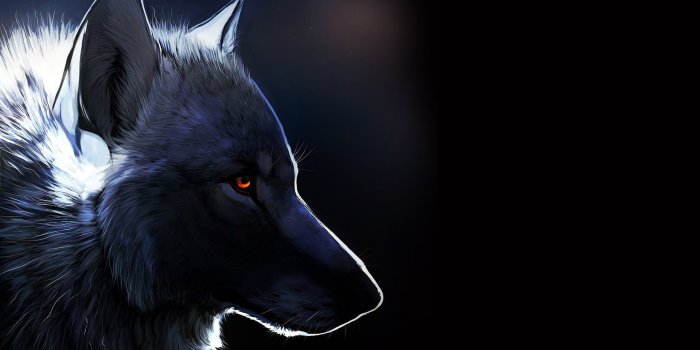 2560x1440 Wallpaper Download 2560x1440 Black wolf drawing - Dark creative wallpaper.  Wild animals wallpapers. Animals Wallpapers… | Wolf wallpaper, Animal  wallpaper, Wolf art