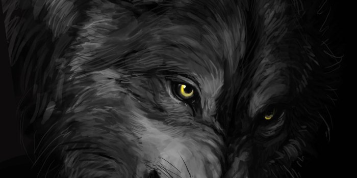 1754x2175 Dark Wolves Wallpapers