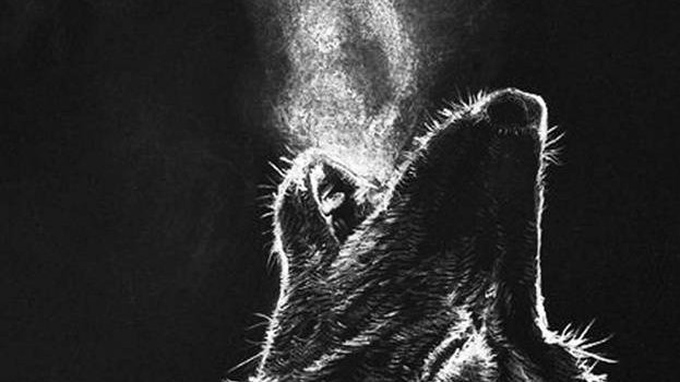 623x1280 Black Wolf wallpaper by rashidashrafchauhan - 03 - Free on ZEDGE™