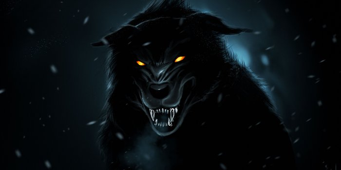 4152x2561 Black Wolf Wallpapers Images Photos Pictures Backgrounds
